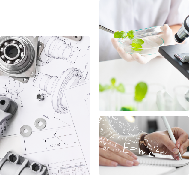 選擇跨領域 學習更有趣